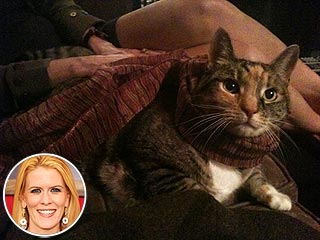 Former Real Housewife Alex McCord's Cat Dies | Alex McCord