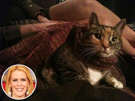 Real Housewives of New York City Alex McCord's Cat Dies