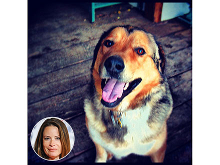 Holly Marie Combs's Dog Dies