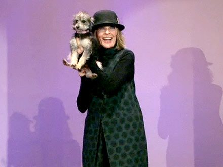 Diane Keaton Asks Tonight Show Audience to Adopt Dog: Video