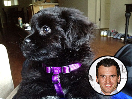 Dancing with the Stars: Tony Dovolani Gets New Dog
