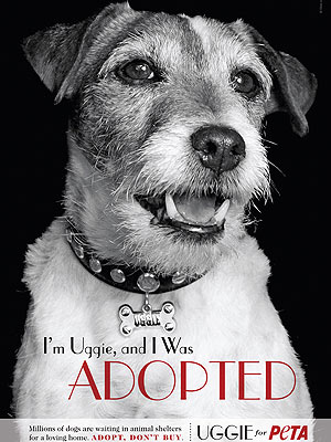 Uggie from The Artist Will Publish a Memoir
