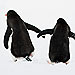 'Gay' Penguins Find Purpose After Getting an Egg