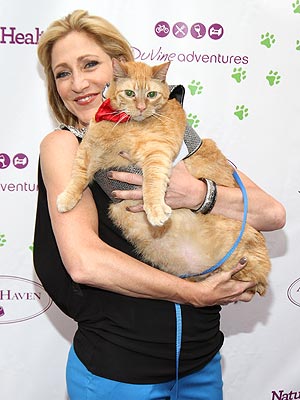 Edie Falco Meets 33-Lb. Cat Sponge Bob