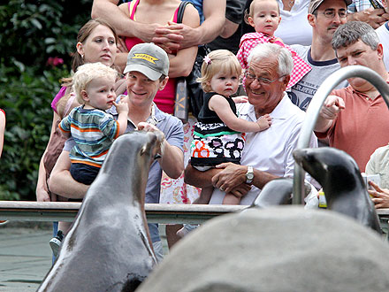 Tony Awards - Neil Patrick Harris Takes Twins to the Zoo Before the Show