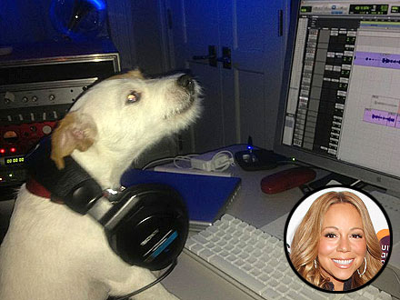 Mariah Carey's Dog Jill E. Beans at Record Studio: Photo