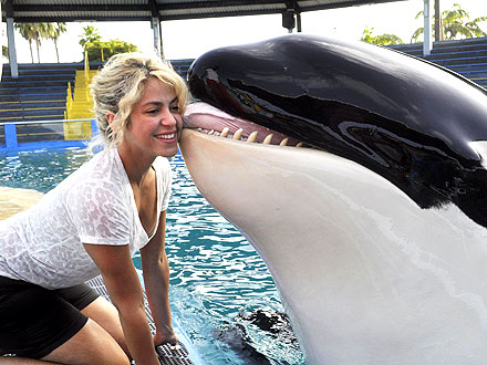 Shakira & Gerard Pique Get Kisses from Killer Whale