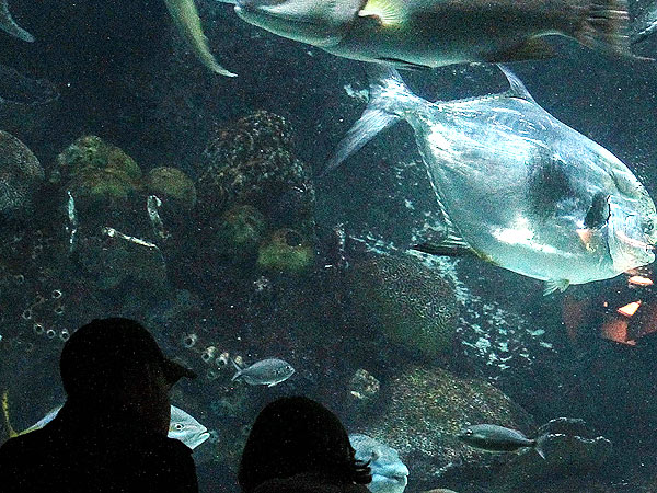 Zoos Conflicted about Climate Change Discussions