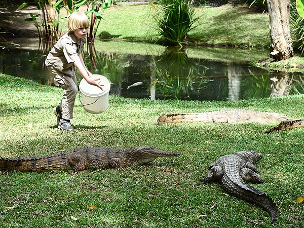Steve Irwin's 8-Year-Old Son Follows in Dad's Footsteps