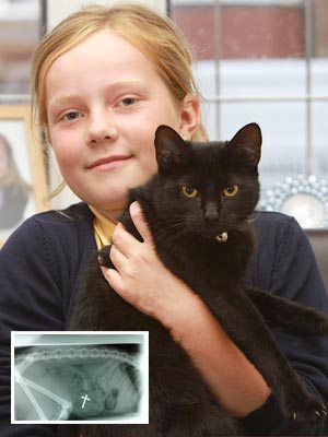 Holy Moly! Cat Swallows Crucifix