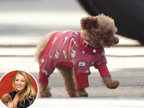 We Need to Talk About Blake Lively's Puppy Pajamas