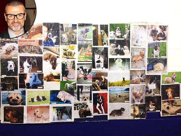 George Michael Auctions 'Dog Wall' for Charity
