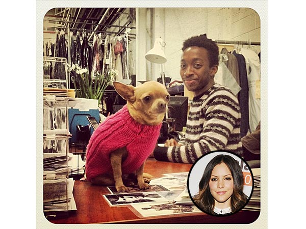 Katharine McPhee's Chihuahua Is Now Working in the Smash Costume Department