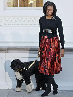 Special Delivery! Bo Obama Helps Receive White House Christmas Tree