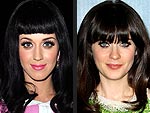 Celebrity Look-Alikes
