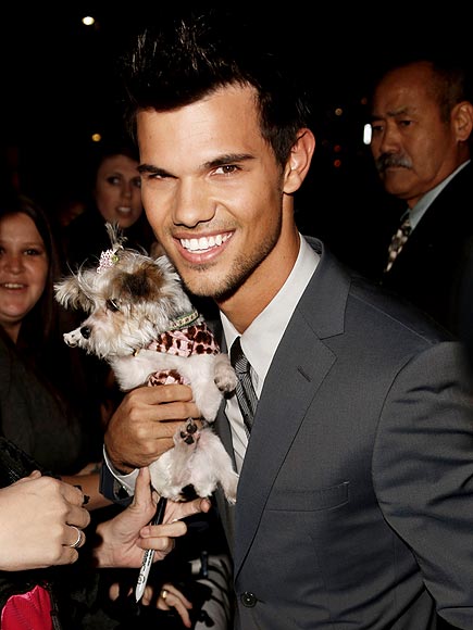 Breaking Dawn Stars & Their Four-Legged Fans