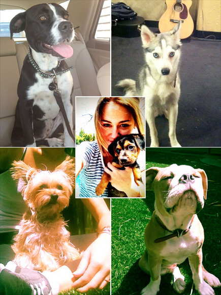 Miley Cyrus's Year of the Dog