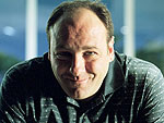 Tributes: The Stars We've Lost in 2013 | James Gandolfini
