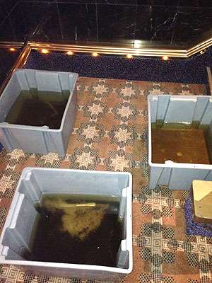 Carnival Triumph Passenger Rian Tipton Takes PEOPLE Onboard