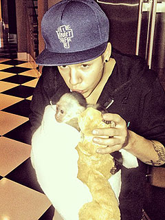 Justin Bieber's Monkey Quarantined in Germany