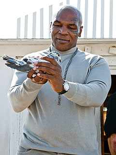 Mike Tyson: Ex-Girlfriend Cooked and Ate My Pigeon | Mike Tyson