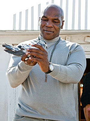 Mike Tyson Didn't Eat Pigeon Cooked by Ex-Girlfriend