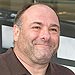 James Gandolfini's Teen Son Called for Help from Hotel Room: Report | James Gandolfini
