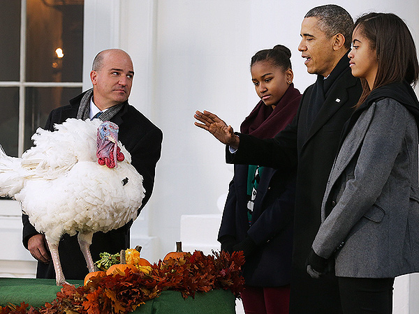 President Obama Pardons Thanksgiving Turkeys – Which Was Crowned Big Bird?