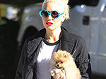 Bad to the Bone: Ranking Rock Stars & Their Dogs | Gwen Stefani