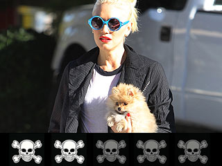 Bad to the Bone: Ranking Rock Stars & Their Dogs