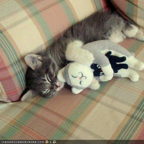 PHOTOS: Pets & Their Look-alikes – Can You Tell Them Apart?
