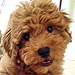 April's Click the Cutest Winners
