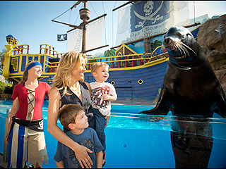 Sheryl Crow and Sons Meet Sea Lion | Sheryl Crow
