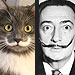 Cat with Mustache, Hamilton, on Instagram: Photos : People.com