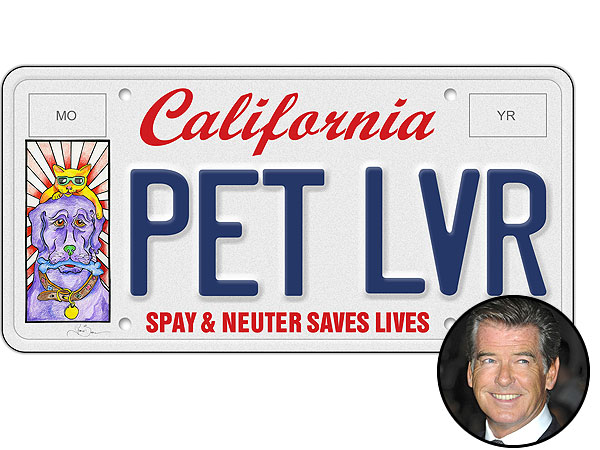Pierce Brosnan Draws Animals for Pet Lover's License Plate: Photo