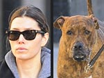 Stars and Their Pets: Jessica Biel's Doggy Duo | Jessica Biel