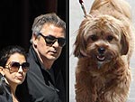Alec & Hilaria's Sidewalk Strutters | Alec Baldwin, Hilaria Thomas
