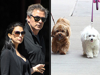 Stars and Their Pets: Alec & Hilaria Baldwin's Sidewalk Strutters | Alec Baldwin, Hilaria Thomas