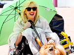 Gwen's Beach Bum | Gwen Stefani