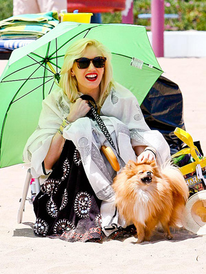 Gwen's Beach Bum | Gwen Stefani