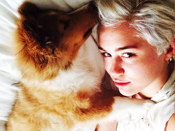Meet Miley Cyrus's New Puppy, Emu!