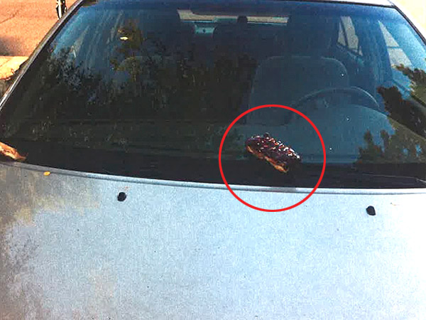 Oregon 'Bakery Bandits' Vandalize Cars with Donuts, Pastries