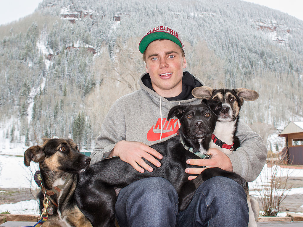gus dogs gus kenworthy sochi dogs update gus dogs gus kenworthy sochi dogs update