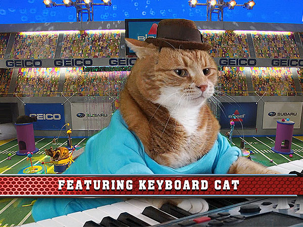 Keyboard Cat, Lil Bub to Appear on Puppy Bowl 2014