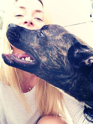 Lindsey Vonn Adopts Dog with Knee Injury: Photo