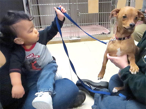 Dog Frank Helps Children with Brain Condition Hydrocephalus