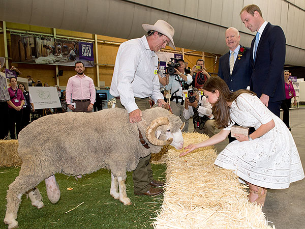 The Daily Treat: Prince William & Duchess Kate Tap into Their Animal Instincts