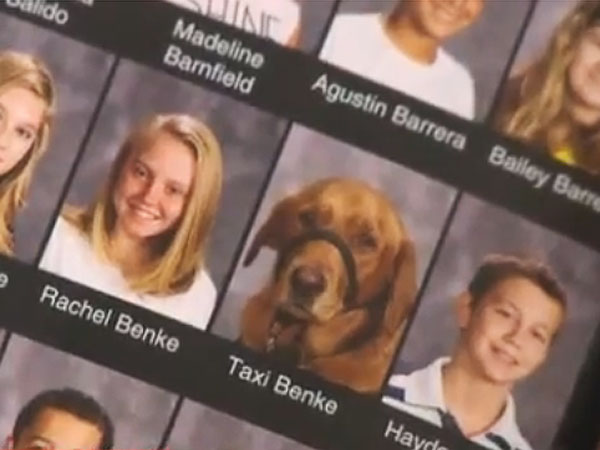 Service Dog Gets Picture in Yearbook: Photo