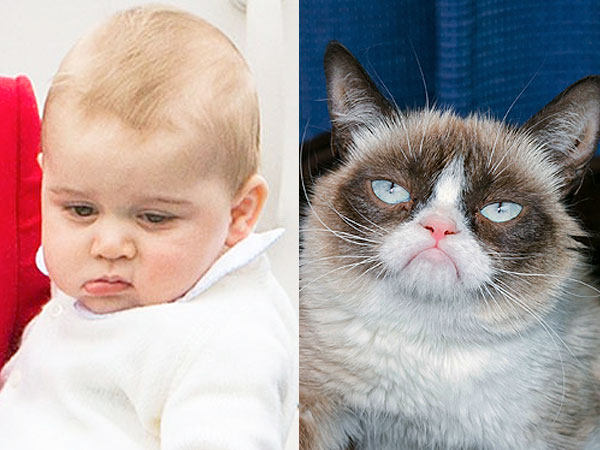 Prince George Looks Like Grumpy Cat: Photo