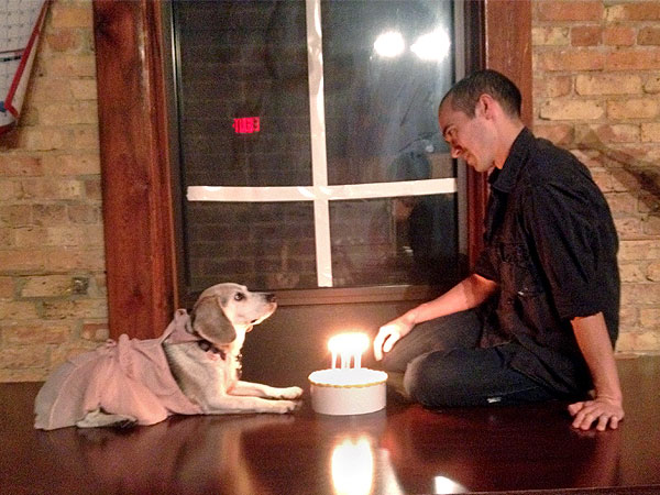 Man recreates The Notebook and other romance movies with his boss' dog